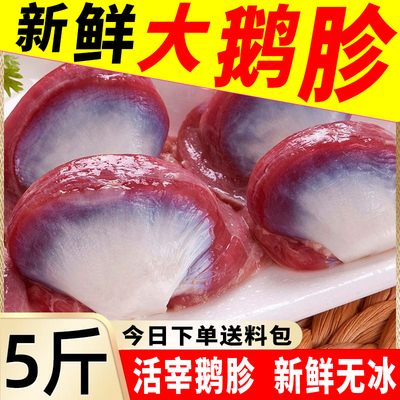 新鲜鹅胗大鹅大号鹅胗鹅肫鹅胃冷冻鹅内脏鹅杂优质大鹅胗顺丰包邮