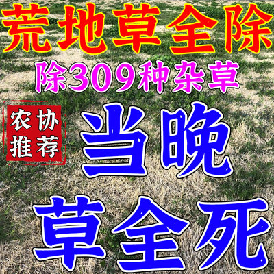 荒地专用除草烂根剂一扫光三年不生长安全不伤苗杂草封闭除草剂