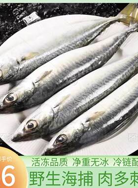 鲐鲅鱼青占鱼青鱼新鲜冷冻鲅鱼青花鱼马鲛鱼海鱼小鲅鱼燕鲭鱼鲐鱼
