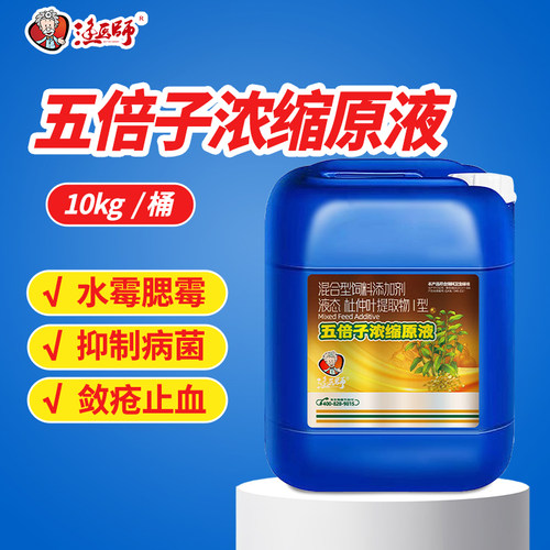 渔医师益生菌水霉腮霉肠炎
