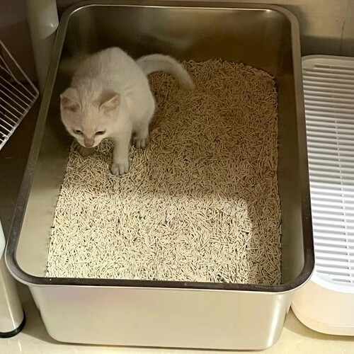 猫砂盆防外溅巨型猫屎盆
