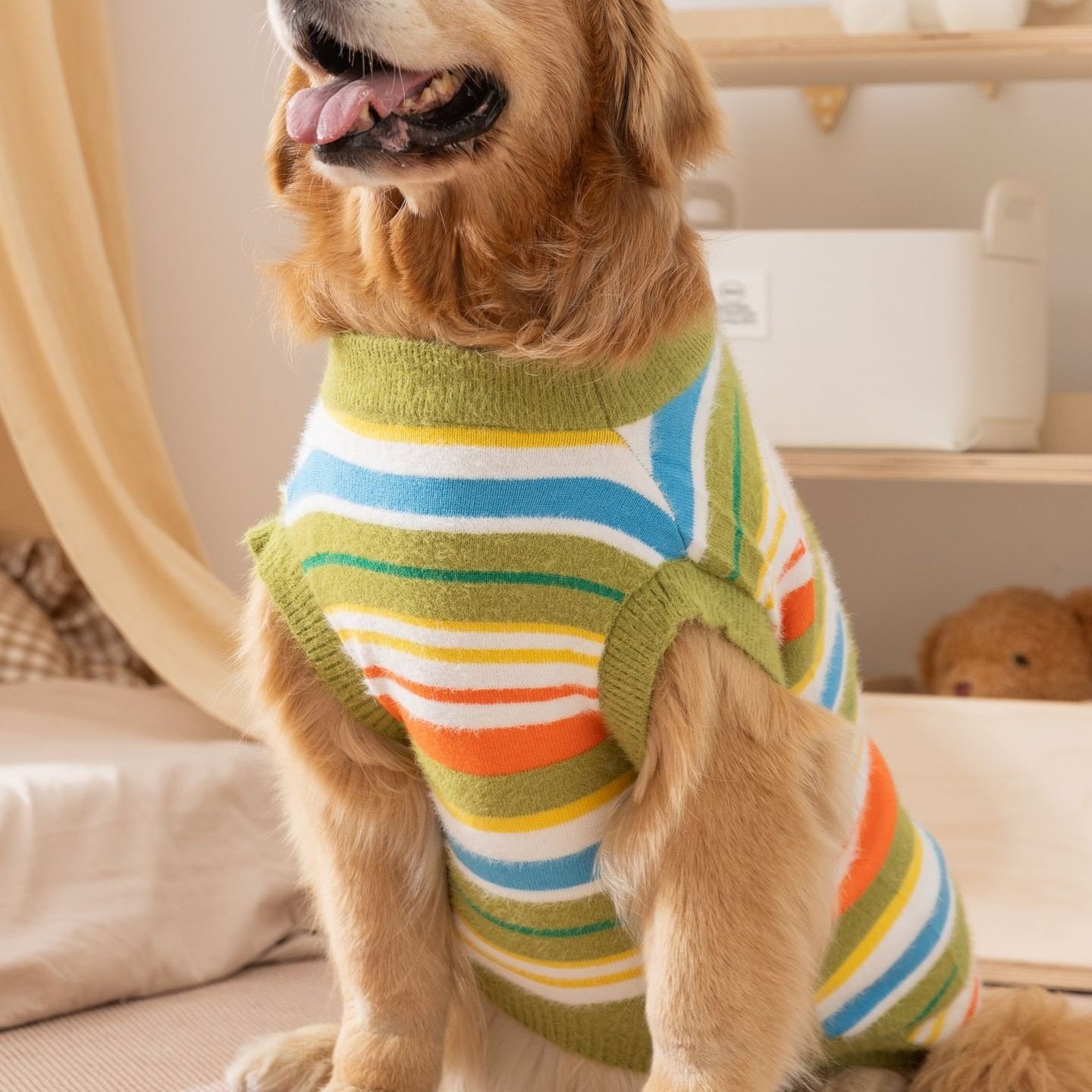 简约风狗狗衣服秋冬百搭条纹毛衣两脚无袖大狗狗衣服金毛宠物衣服,宠物/宠物食品及用品,狗宠物服装/雨衣,淘宝优惠券,粉丝福利购,淘宝优惠卷