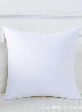 磨毛布抱枕芯PP棉靠芯4045505560芯