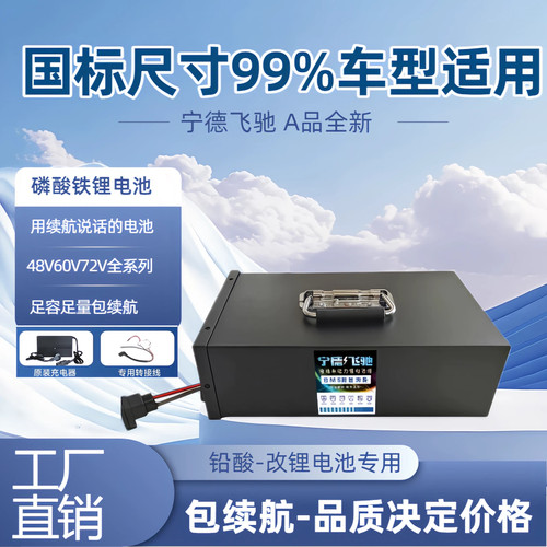 电动车锂磷酸铁锂电池48V25a适配国标爱玛雅迪台铃小刀锂电池通用