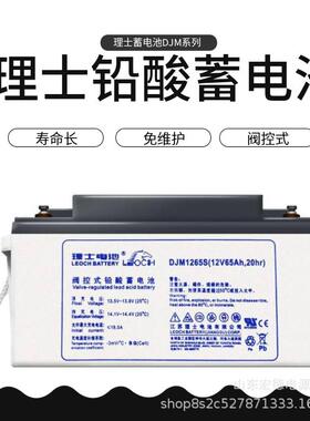 DJM12-100AH免维护12V100AH太阳能风能电信通讯照明UPS