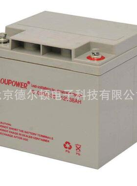 莱力LOUPOWER蓄电池6-GFM-100 12v100ah ups直流屏EPS电源电池