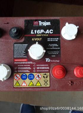 TrojanT-145Plus 6V260Ah扫地机/观光车升降平台巡逻车