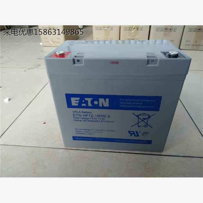 蓄电池ETNHW12-100Ah 12V100AH储能免维护EPSUPS站太阳能消防