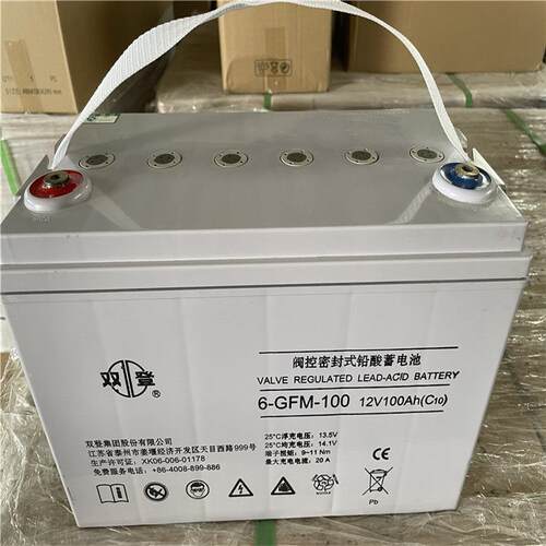 蓄电池6-GFM-100房车电池12v100ah储能电瓶铅酸蓄电池ups电瓶