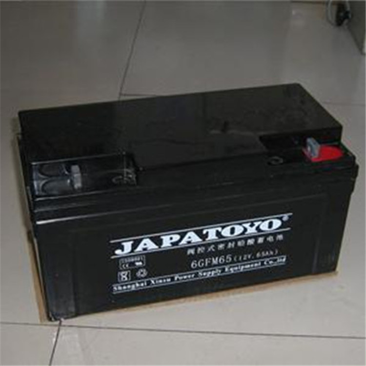 TOYO东洋蓄电池6GFM100 东洋电池12V100AH 质保三年