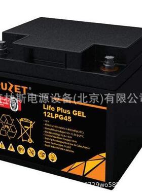 RUZET铅酸蓄电池12v45ah 12LPG45直流屏不间断UPS电源