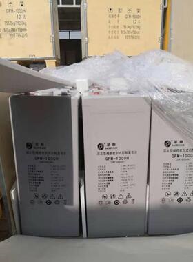 蓄电池2V600AH 管式胶体蓄电池OPZV2-600 储能型 直流屏