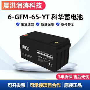 GFM UPS蓄电池12V65AH 阀控密封式 现货 精卫蓄电池6