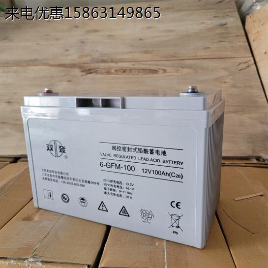 蓄电池12V100AH 型号6-GFM-100AH免维护UPS/EPS直流屏备用电