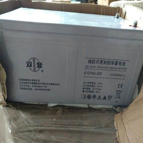 6-GFM-100 铅酸免维护12V100AH 三年质保