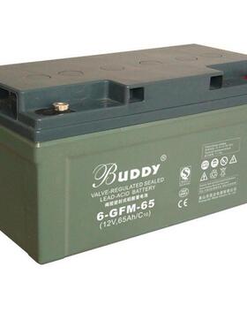 BUDDY蓄电池6-FM-200 12V200AH宝迪阀控式铅酸蓄电池 质保三年