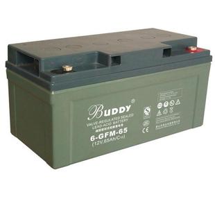 铅酸蓄电池 BUDDY蓄电池6 12V200AH宝迪阀控式 200 质保三年
