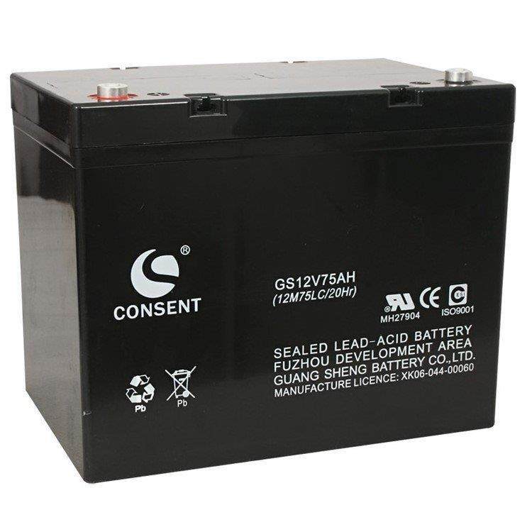 CONSENT光盛蓄电池GS12V17AH 12V17AH 直流屏 UPS电源 消防主机 - 实物图