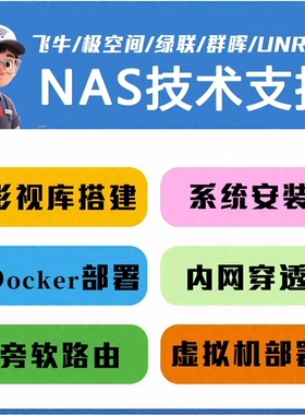 飞牛极空间绿联群晖Unraid NAS技术支持 故障排查/应用远程部署