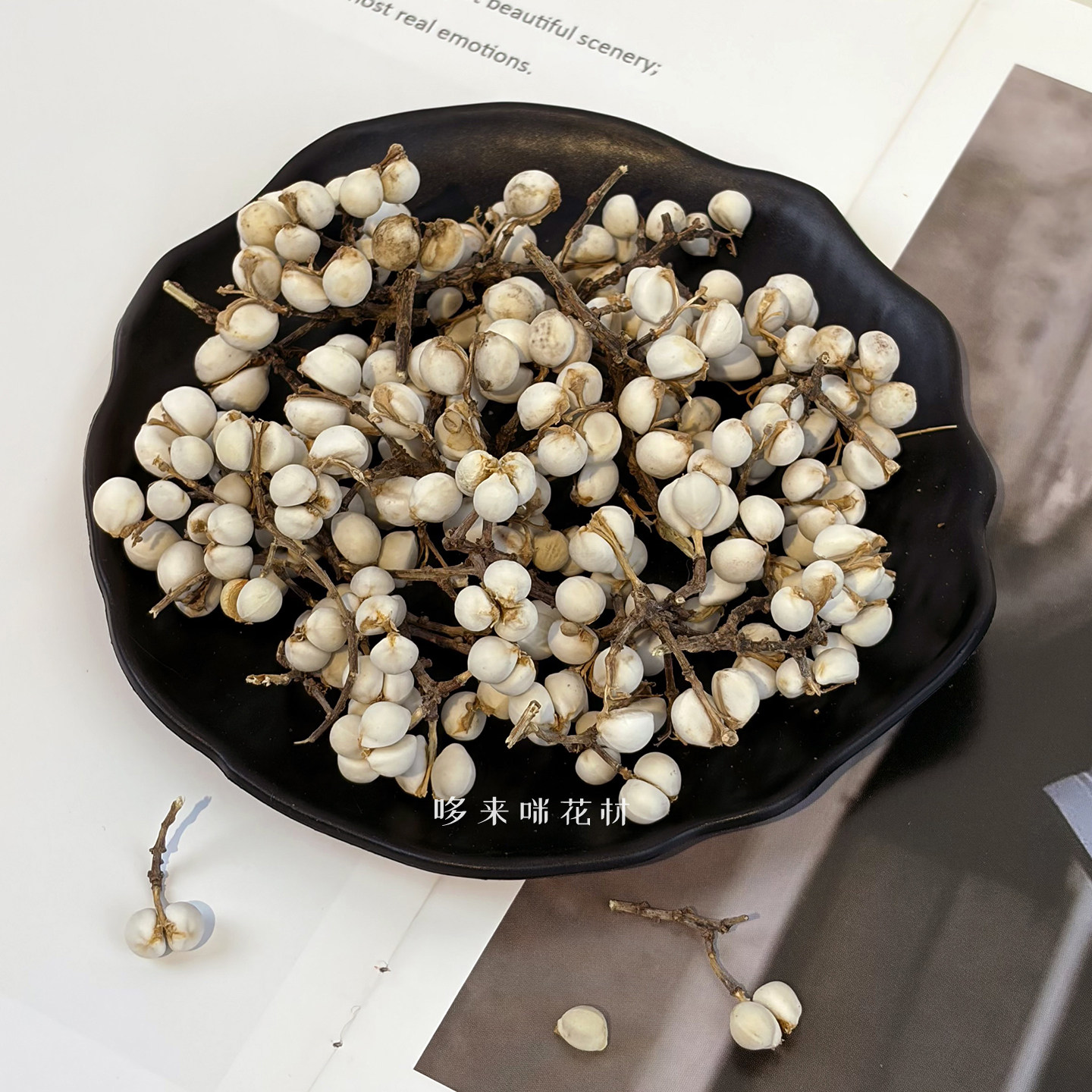 小白果天然进口干花diy材料包相框粘花植物干果手作ins摆件摄道具