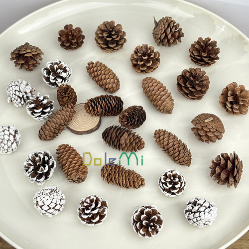 松果松塔圣诞果装饰干花