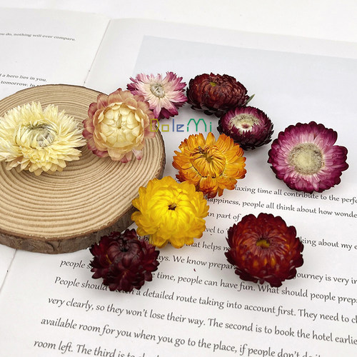 云南七彩菊干花包diy材料