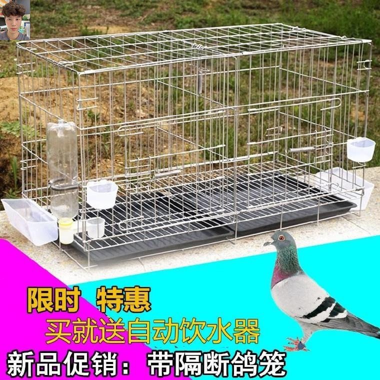 踏笼鸟笼捕鸟素材模板 踏笼鸟笼捕鸟图片下载 小麦优选