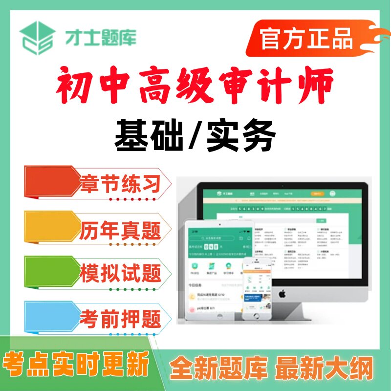 2027年初级中级高级审计师题库历年真题基础知识专业实务才士题库