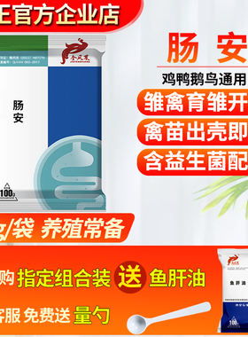 肠安小鸡开口刚出壳用育苗高成活率拉白色粪便雏鸡鸭鹅糊肛育雏宝
