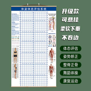 舞蹈体形体态评估表图墙贴健身体测分析测评修复工作室瑜伽馆定制