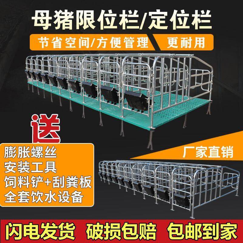 母猪用限位栏养猪场设备加厚地面围栏猪圈漏粪板设备