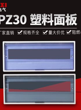 阻燃PZ30配电箱面板盖子6/10/12/15/18/24回路空开透明保护罩盖板