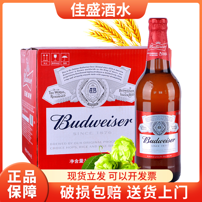 经典美式大瓶装黄啤酒整箱装