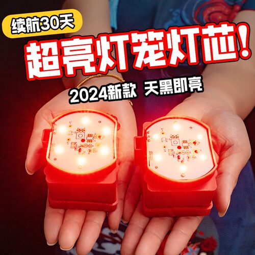 灯笼内置灯泡免插电专用led灯