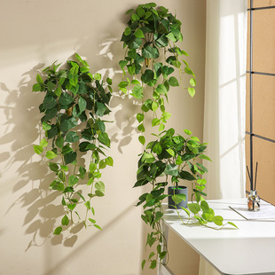 绿萝仿真装饰藤条叶子壁挂假花绿植墙壁吊篮盆栽摆件垂吊墙上遮挡