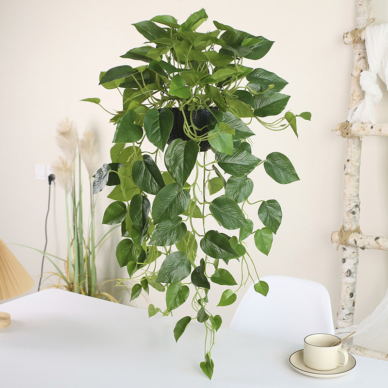 仿真绿萝装饰藤条塑料叶子室内壁挂假花绿植挂墙壁上吊兰吊篮盆栽