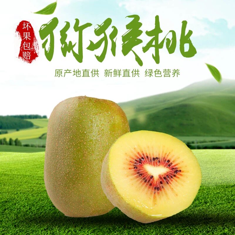 贵州六盘水红心猕猴桃当季鲜果