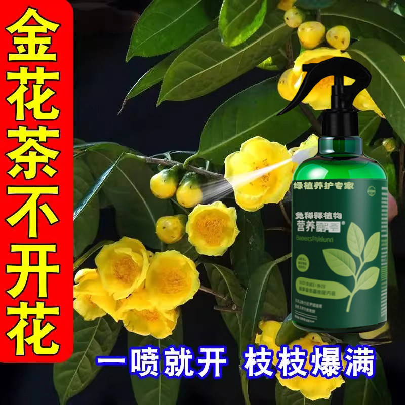 金茶花专用营养液促花芽分化开花肥盆栽种果树坐果营养液水溶化肥