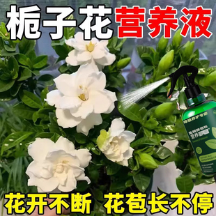 【开爆了】栀子花营养液专用肥防黄叶烂根掉花苞催开花免稀释肥料