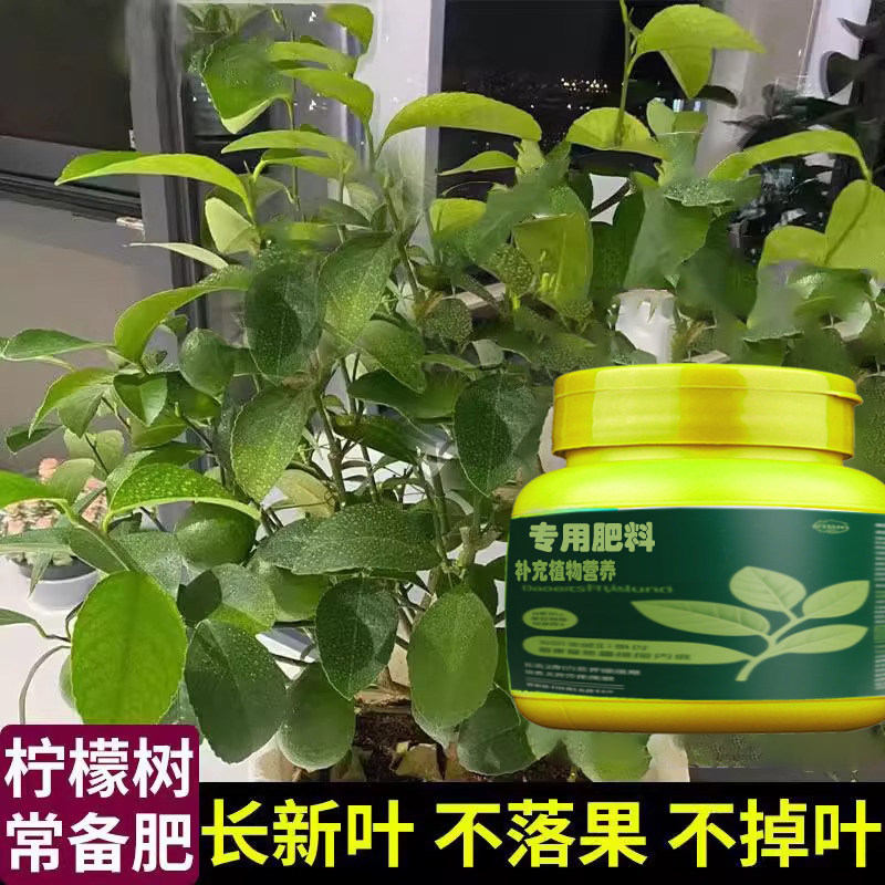 柠檬树肥料叶面肥香水柠檬车厘子柑橘树果树营养液磷钾水溶专用肥