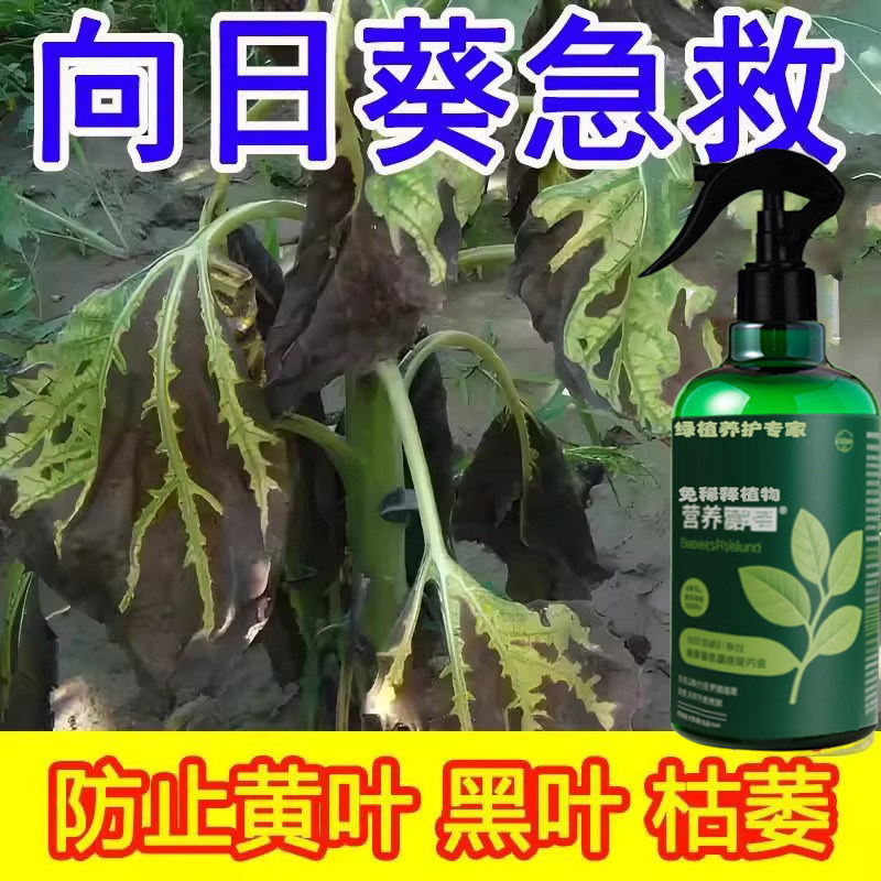 向日葵专用有机水溶复合肥海藻氨基酸室内养花盆栽植物通用营养液
