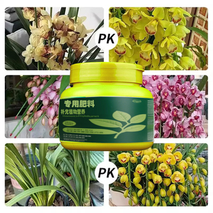 大花蕙兰专用肥料盆栽兰花营养液叶子发黄干枯尖枯烂根养护花肥料