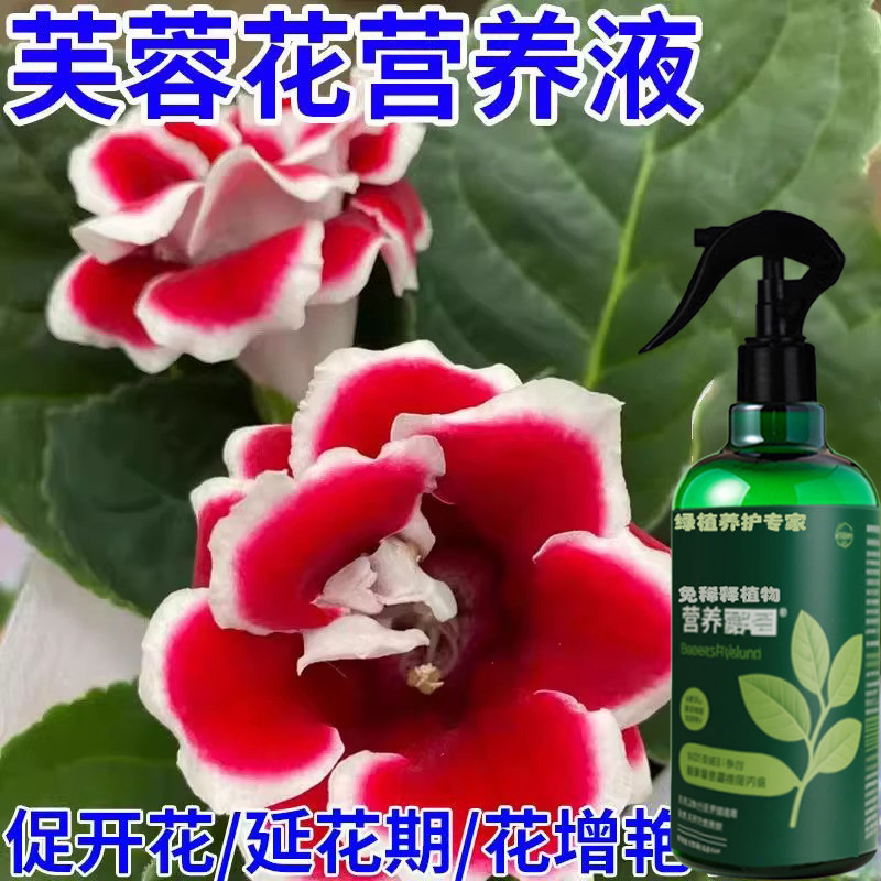 专治】芙蓉花专用营养液治花苞叶片枯萎花色暗淡不开花通用型肥料