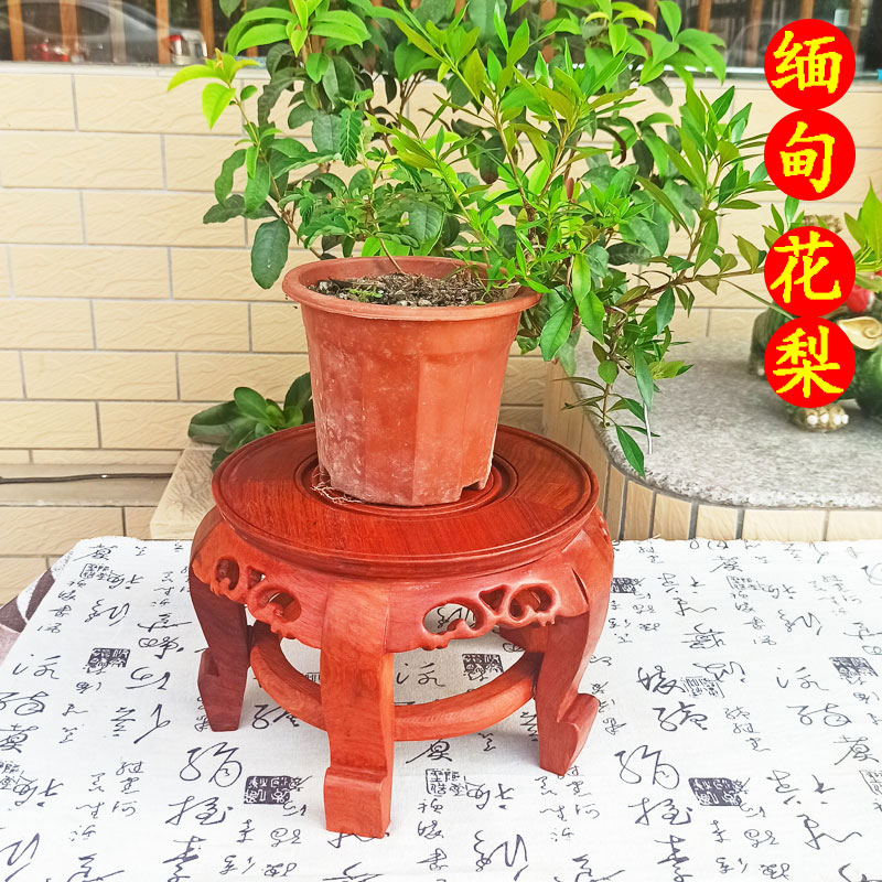 支架盆景底座摆件缅甸花梨木
