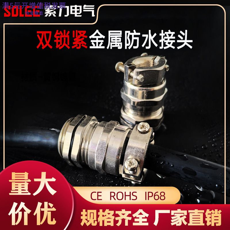 双锁紧防水防爆BDMX不锈钢格兰头PG电缆接头304