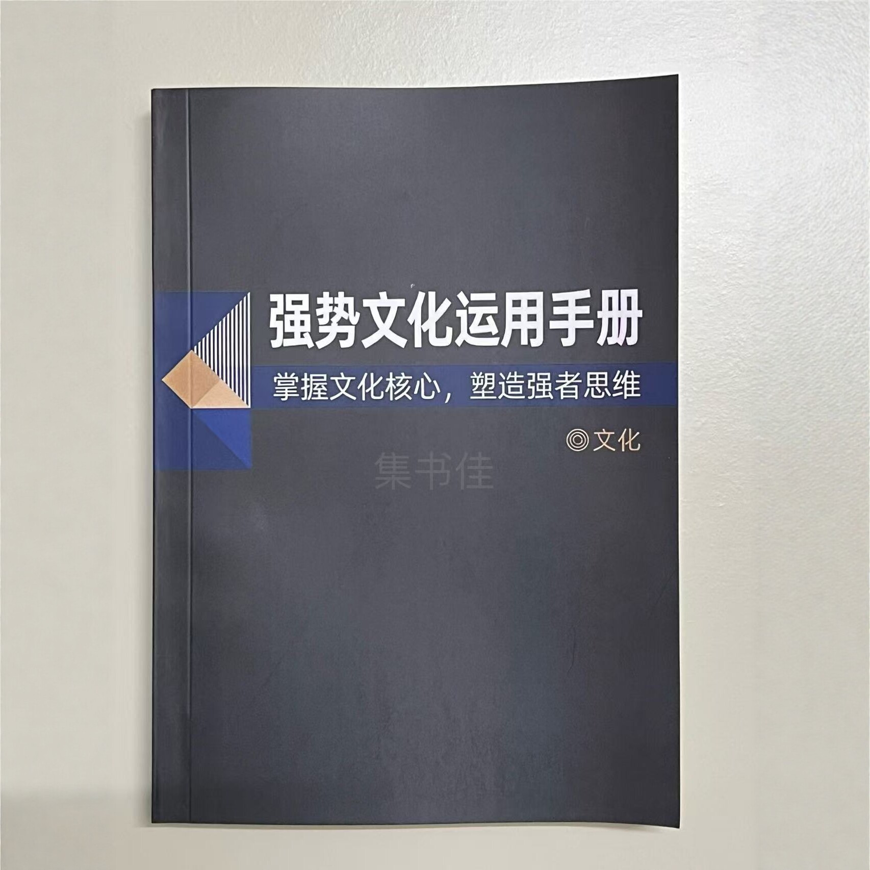 强势文化运用手册图片