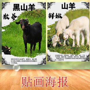 海报贴画 黑山羊背胶自贴装饰图案羊肉馆小山羊串餐馆不干胶贴纸