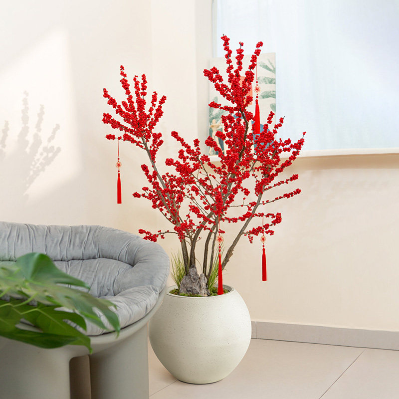 北美冬青红果果盆栽红果树苗鲜切鲜花真花乔迁新居新年喜庆植物