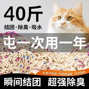 猫舍猫咪用品 大袋装 包邮 猫砂豆腐砂除臭无尘40斤去味结团20公斤