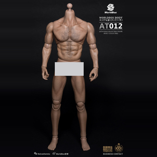 现货 WorldBox 1/6 耐操狼叔型素体 厚胸宽肩 AT012 可动人偶兵人